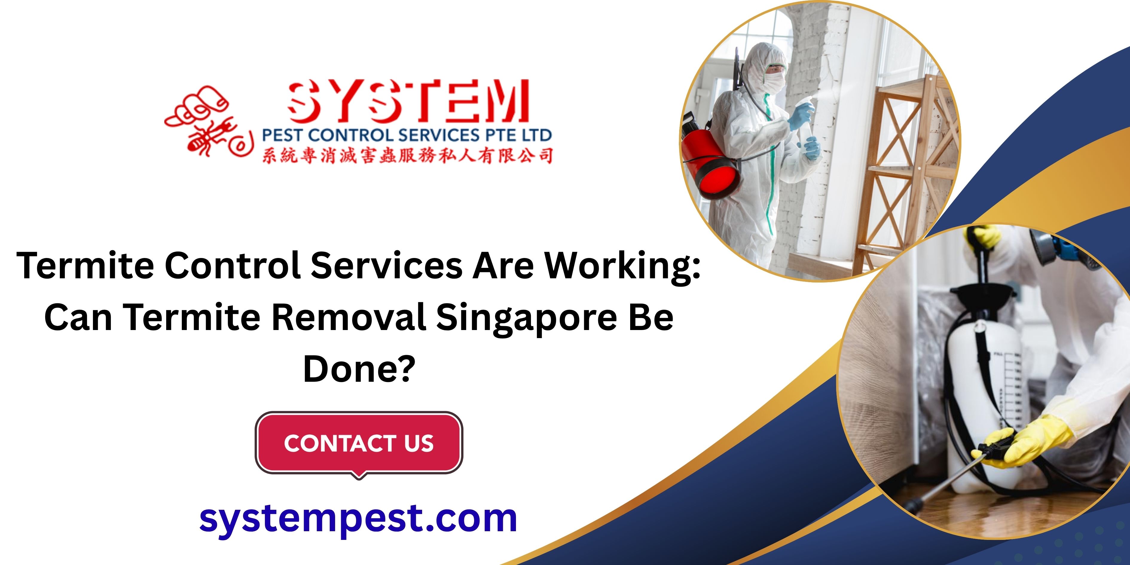 Termite Control Services Are Working: Can Termite Removal Singapore Be Done?